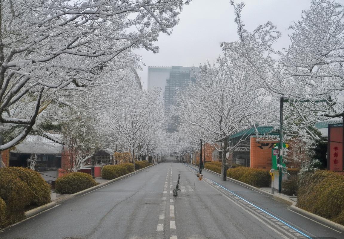 拜仁慕尼黑VS那不勒斯欧冠对决：深度解析与战术对决(图2)